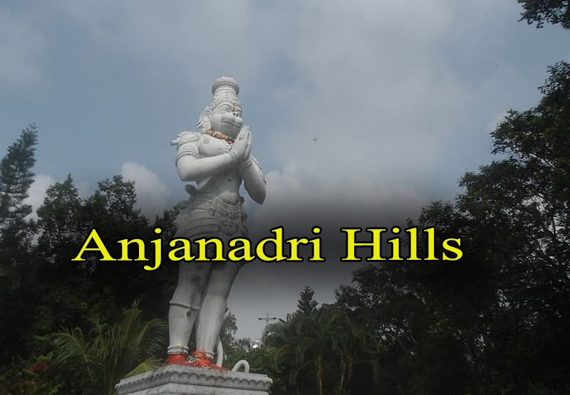 TTD EO Seeks Priests Expertise On Anjaneya Birth Location In Tirumala Hills