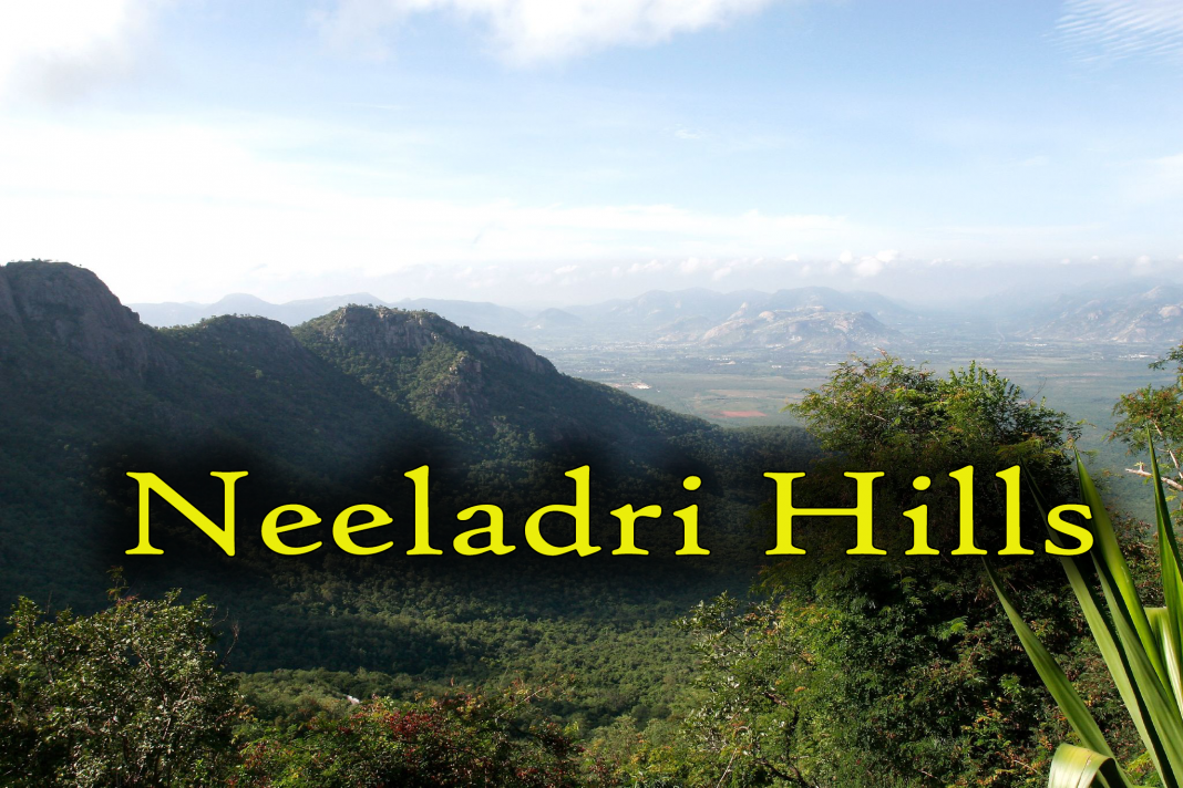 neeladrii2