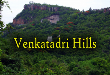 Venkatadri – Hill of Lord Venkateswara